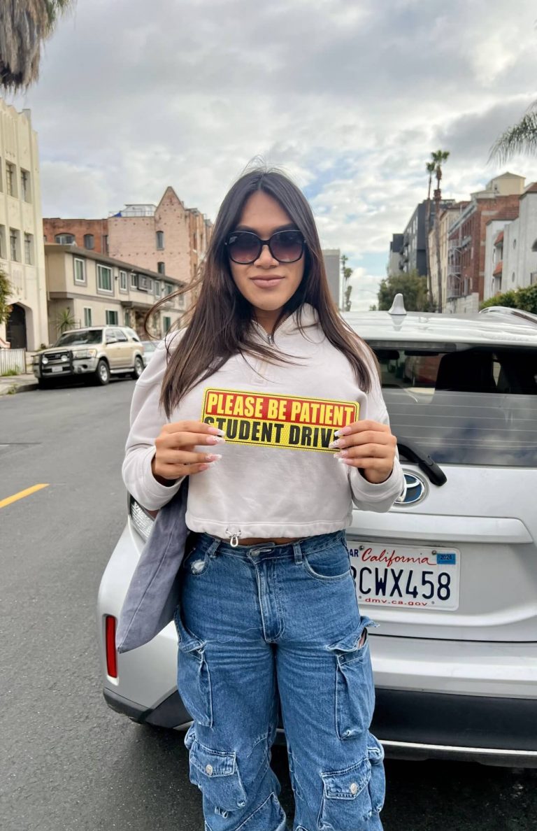 LA Private Driving School